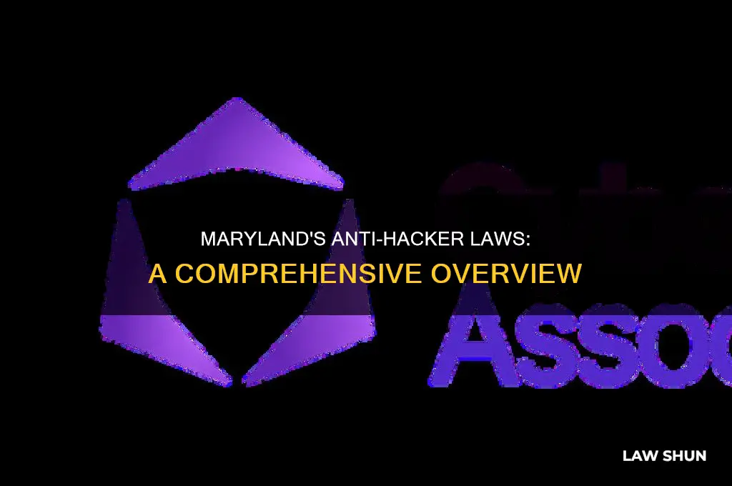 does maryland have a anti hacker law