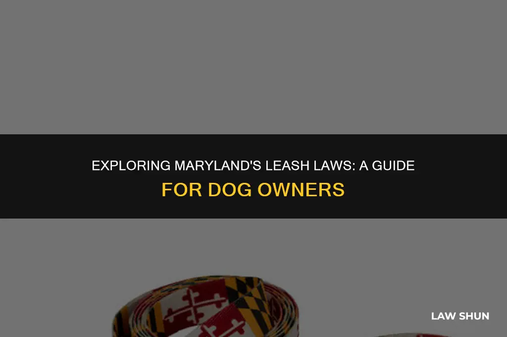 does maryland have a leash law
