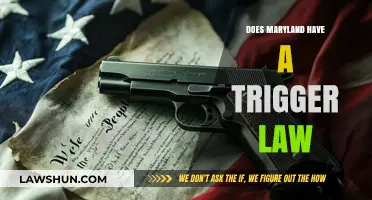 Exploring Maryland's Legal Landscape: The Presence of Trigger Laws