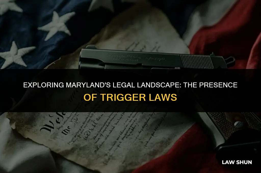 does maryland have a trigger law