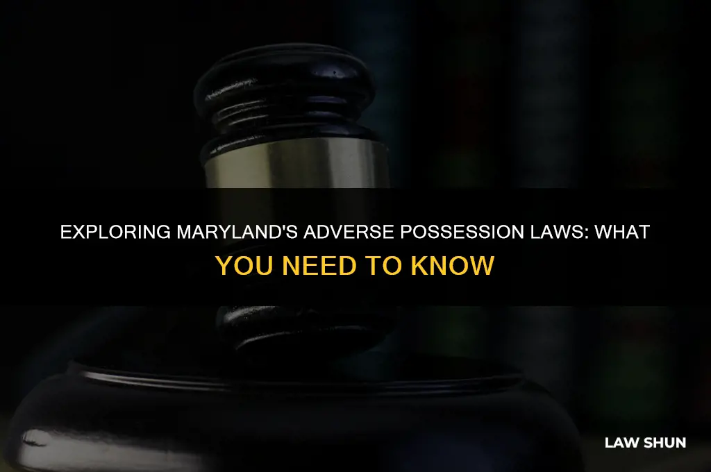 does maryland have adverse possession law