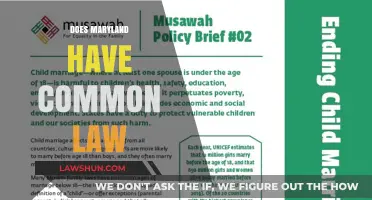 Maryland's Stance on Common Law Marriages