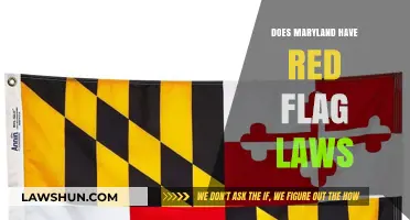 Exploring Maryland's Stance on Red Flag Legislation