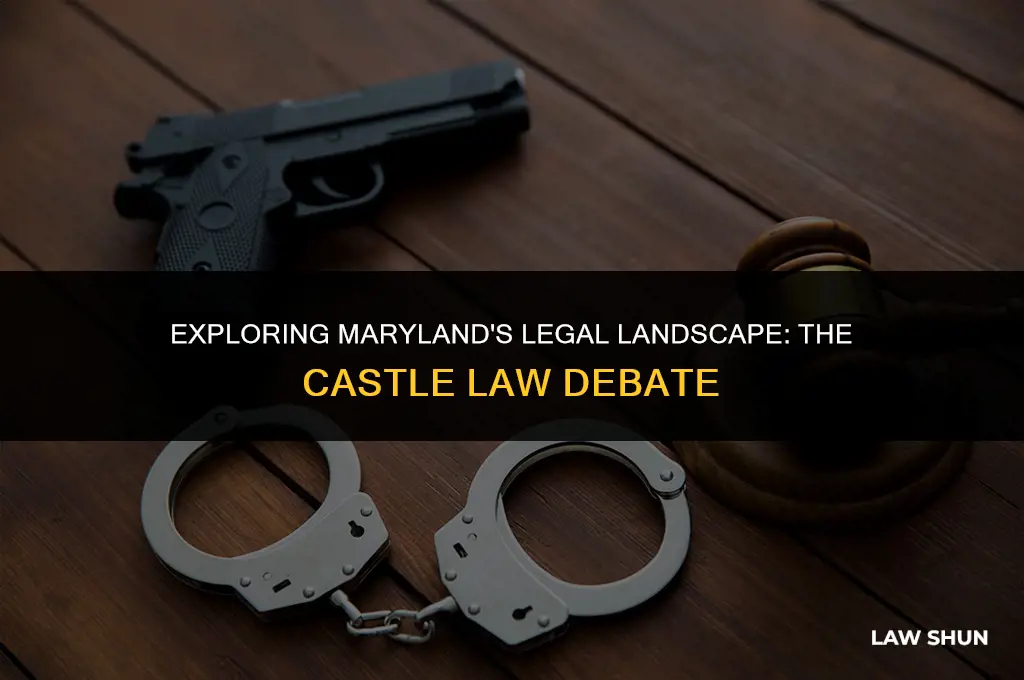 does maryland have the csatle law
