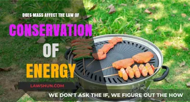 Mass and Energy Conservation: Unraveling the Connection in Physics