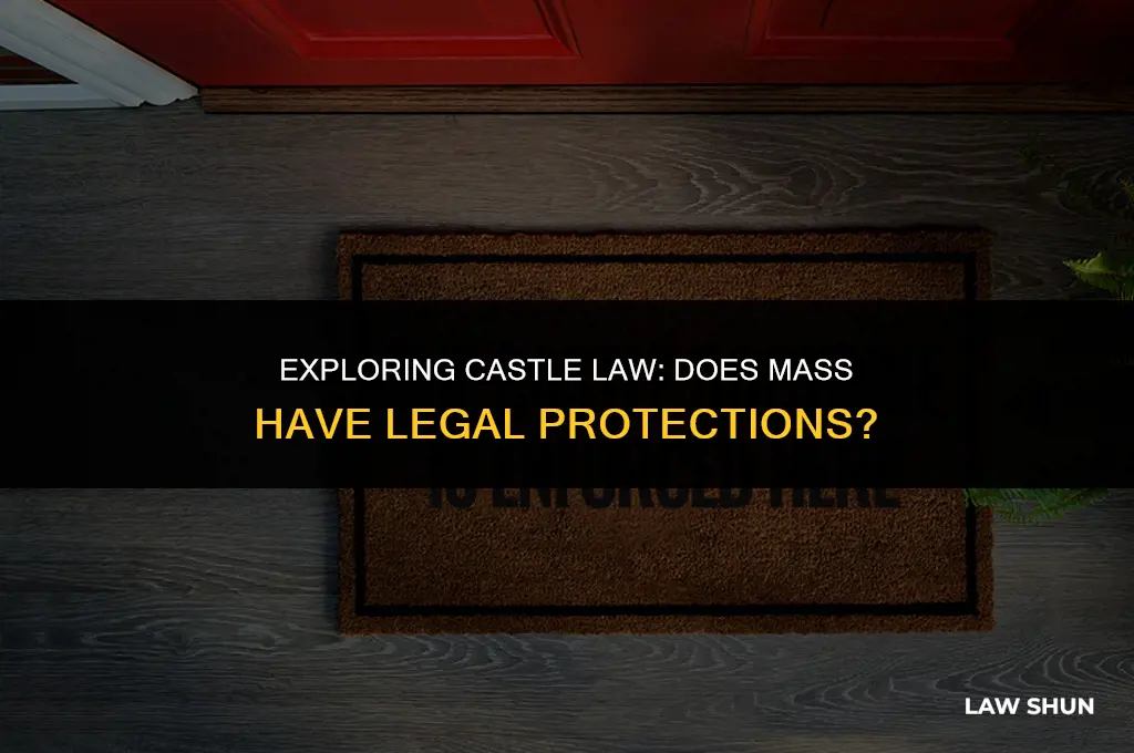 does mass have a castle law