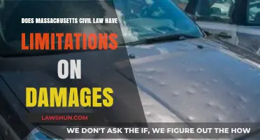 Massachusetts Civil Law: Understanding Limitations on Damages in Legal Claims