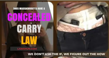 Massachusetts Concealed Carry Law: Understanding Permit Requirements and Restrictions