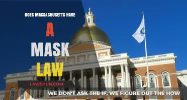 Exploring Massachusetts' Mask Law: What You Need to Know