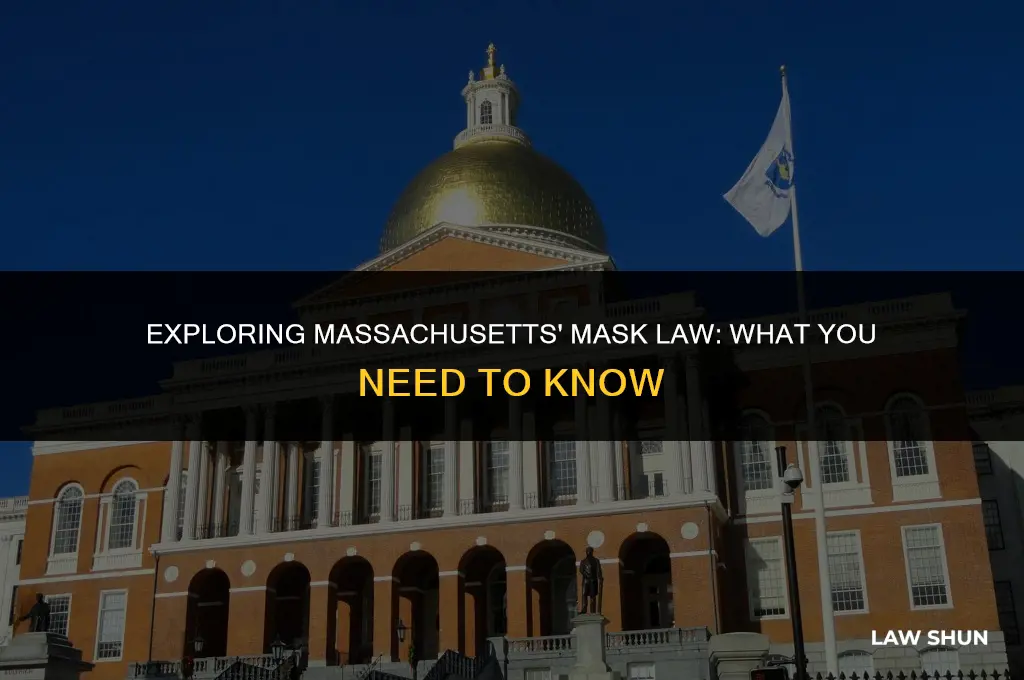 does massachusetts have a mask law