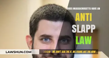 Massachusetts' Anti-SLAPP Law: A Powerful Defense Tool