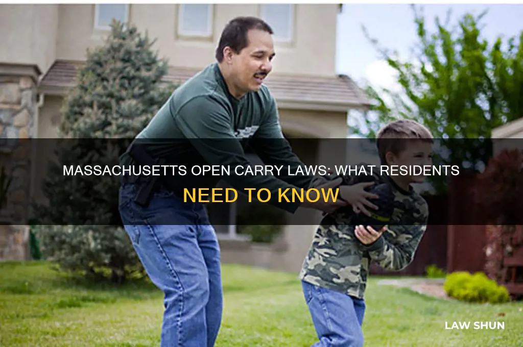 does massachusetts have an open carry law