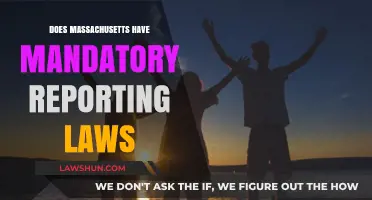 Understanding Massachusetts' Mandatory Reporting Laws: A Comprehensive Guide