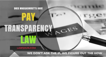 Unveiling Wage Equality: Massachusetts' Pay Transparency Law Explained
