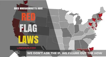 Exploring Massachusetts' Stance on Red Flag Legislation
