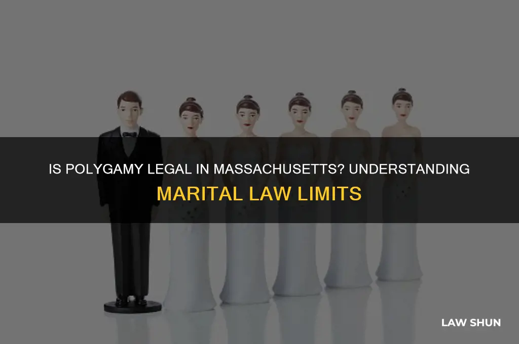 does massachusetts law allow a man to have 2 wives