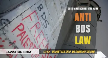 Massachusetts' Anti-BDS Law: What You Need to Know
