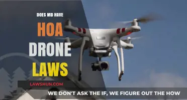 Exploring Maryland's HOA Drone Laws: What You Need to Know