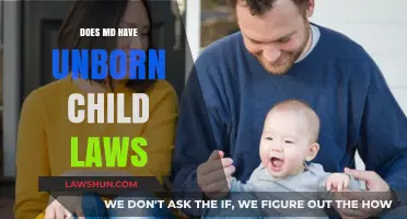 Understanding Maryland's Unborn Child Laws: Rights, Protections, and Legal Implications