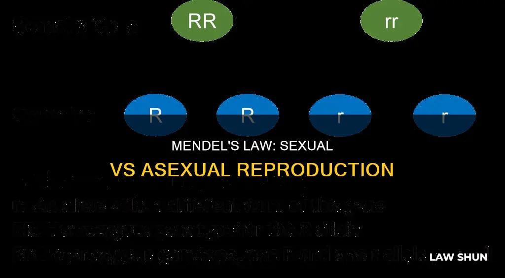 does mendel law apply to sexual reproduction or axeual