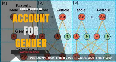 Exploring Gender Inheritance: Mendel's Laws and Beyond