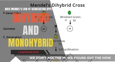 Mendel's Law: Segregation in Dihybrid and Monohybrid Crosses