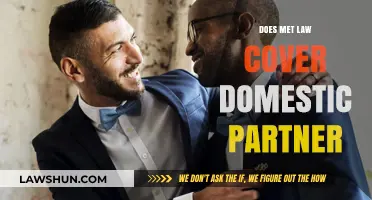 Understanding Domestic Partnership Coverage Under Met Law