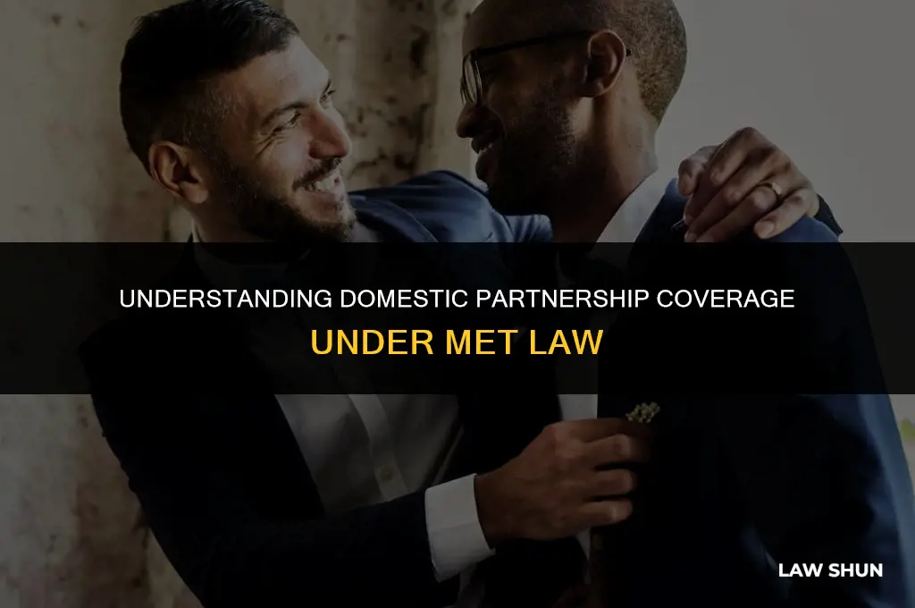 does met law cover domestic partner
