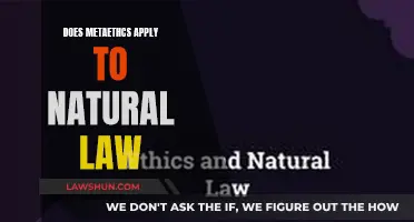 Exploring Natural Law Through the Lens of Metaethics