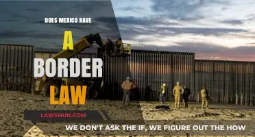 Understanding Mexico's Border Law: Myths, Realities, and Implications