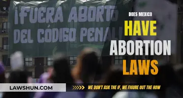 Mexico's Abortion Laws: Understanding the Current Landscape