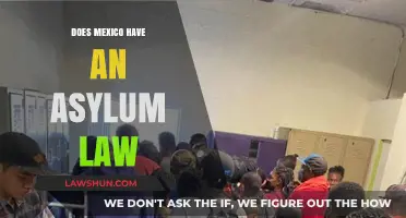 Seeking Refuge: Understanding Mexico's Asylum Law and Its Impact
