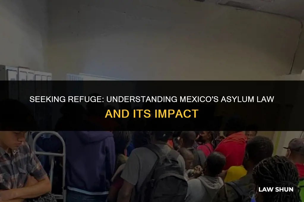 does mexico have an asylum law