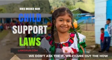 Understanding Mexico's Child Support Laws: Rights, Responsibilities, and Enforcement