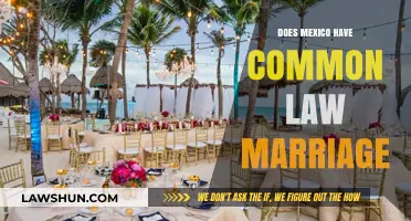 Mexico's Marriage Laws: Common-Law Recognition