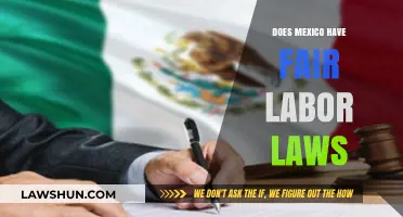 Does Mexico Have Fair Labor Laws? Exploring Workers' Rights and Protections