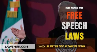 Exploring Free Speech Laws in Mexico: A Comprehensive Overview