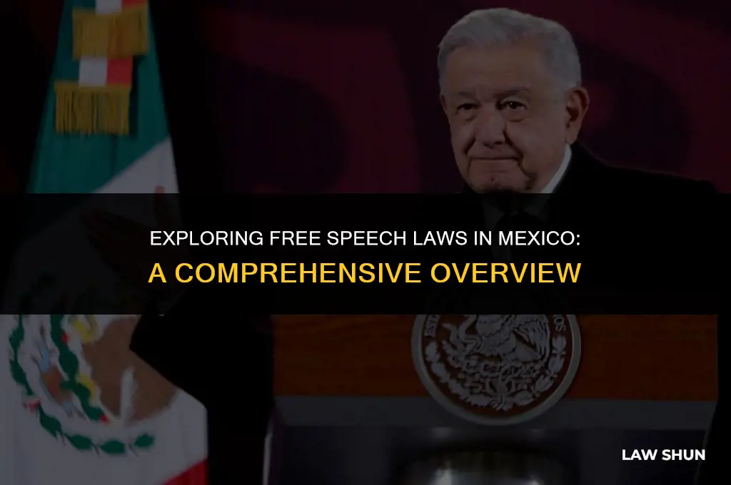 does mexico have free speech laws