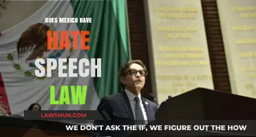 Examining Mexico's Legal Stance on Hate Speech: A Comprehensive Overview