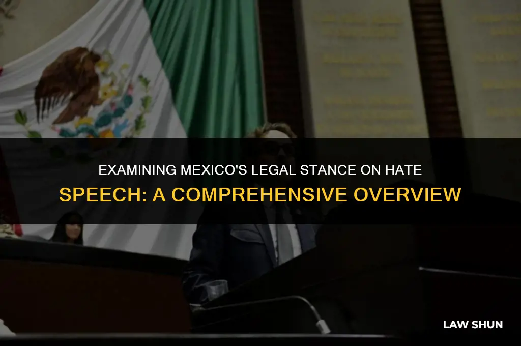does mexico have hate speech law