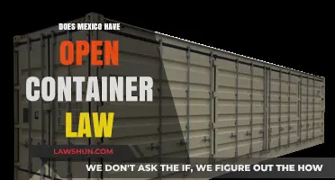 Mexico's Open Container Laws: What Tourists and Locals Need to Know