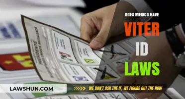 Exploring Mexico's Voter ID Laws: A Comprehensive Guide