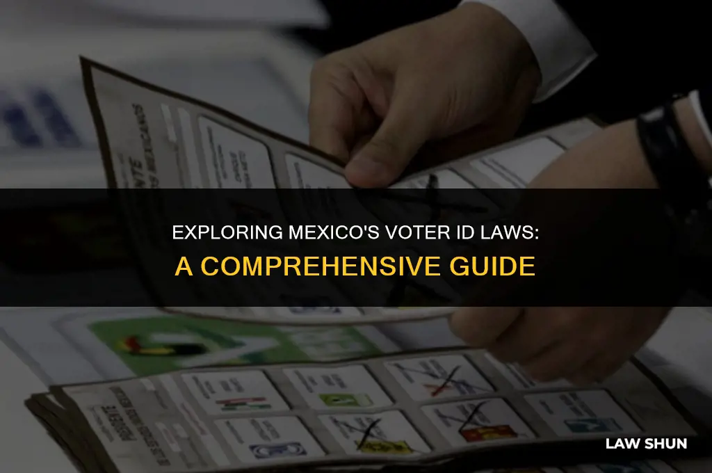 does mexico have viter id laws