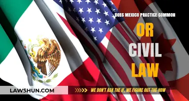Mexico's Legal System: Common or Civil Law?