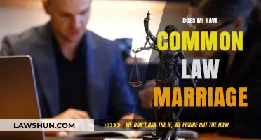 Michigan's Common Law Marriage: What's the Deal?