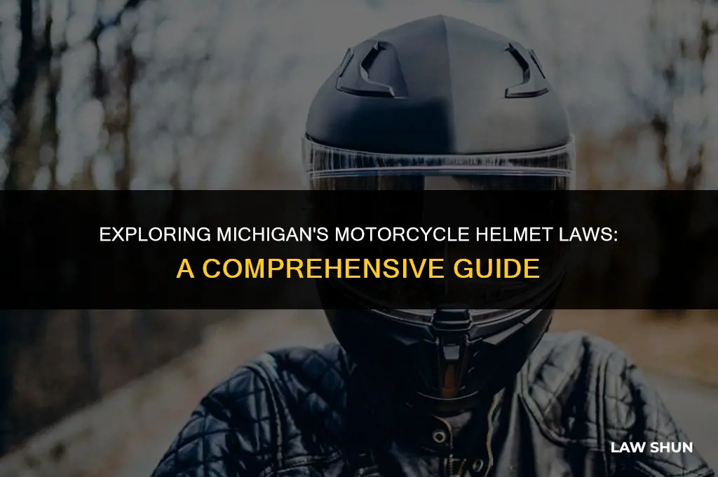 does mich have a helment law