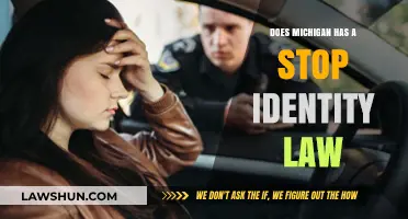 Does Michigan Have a Stop and Identify Law? Explained