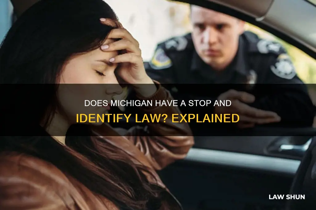 does michigan has a stop identity law