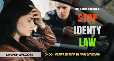 Michigan's Stop and Identify Law: What You Need to Know