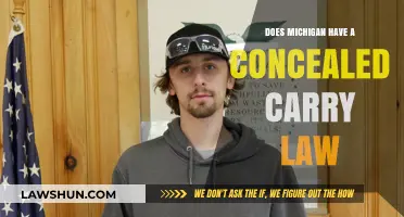 Michigan's Concealed Carry Law: Understanding Your Rights and Responsibilities
